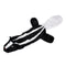 Plush Cute Squeaky Dog Toys